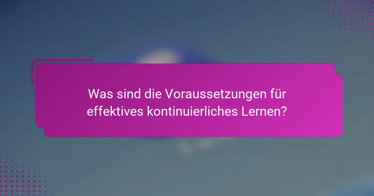 Was sind die Voraussetzungen für effektives kontinuierliches Lernen?