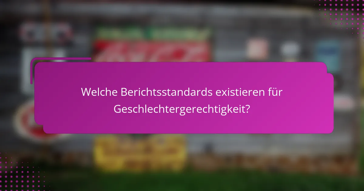 Welche Berichtsstandards existieren für Geschlechtergerechtigkeit?