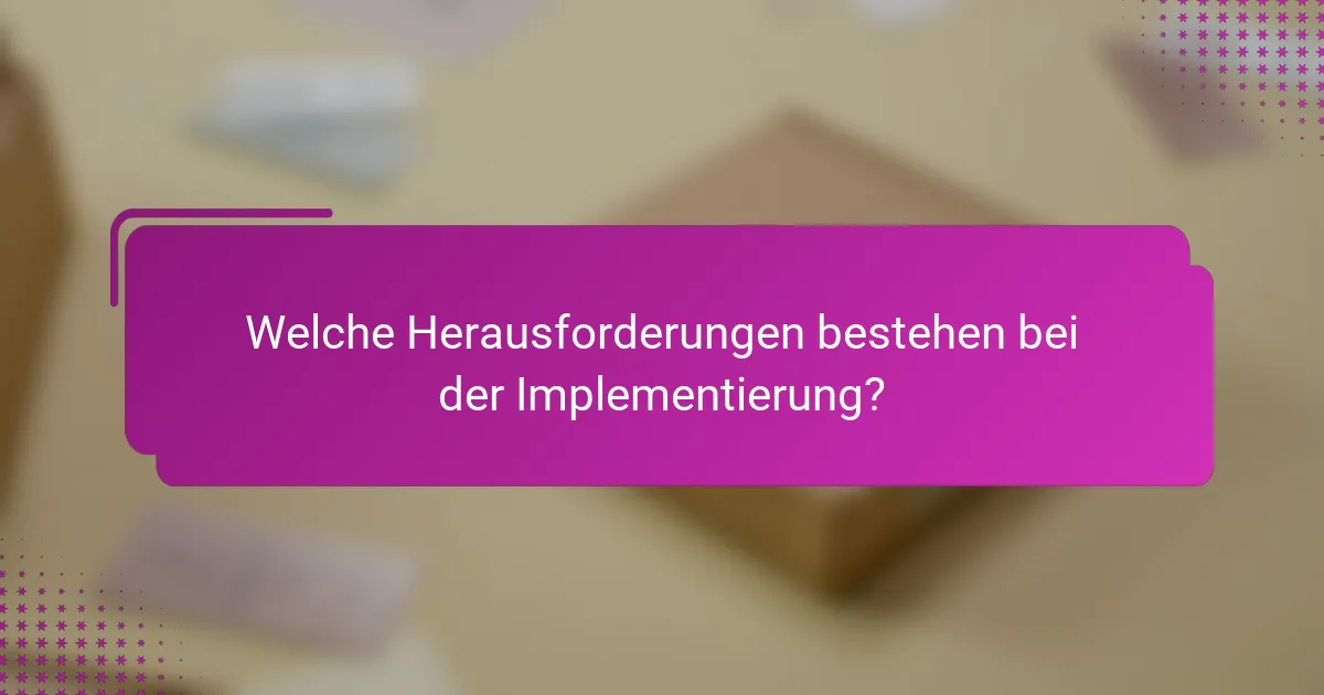 Welche Herausforderungen bestehen bei der Implementierung?