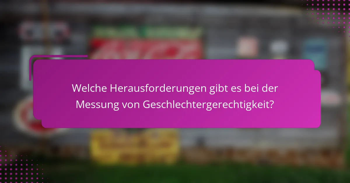 Welche Herausforderungen gibt es bei der Messung von Geschlechtergerechtigkeit?