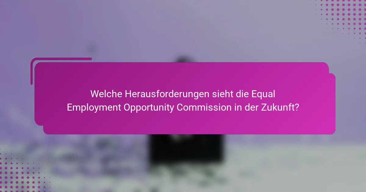 Welche Herausforderungen sieht die Equal Employment Opportunity Commission in der Zukunft?