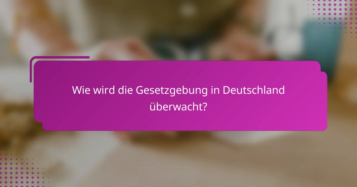 Wie wird die Gesetzgebung in Deutschland überwacht?